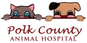 Polk County Animal Hospital, Florida, Lakeland